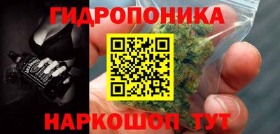 мет Бийск